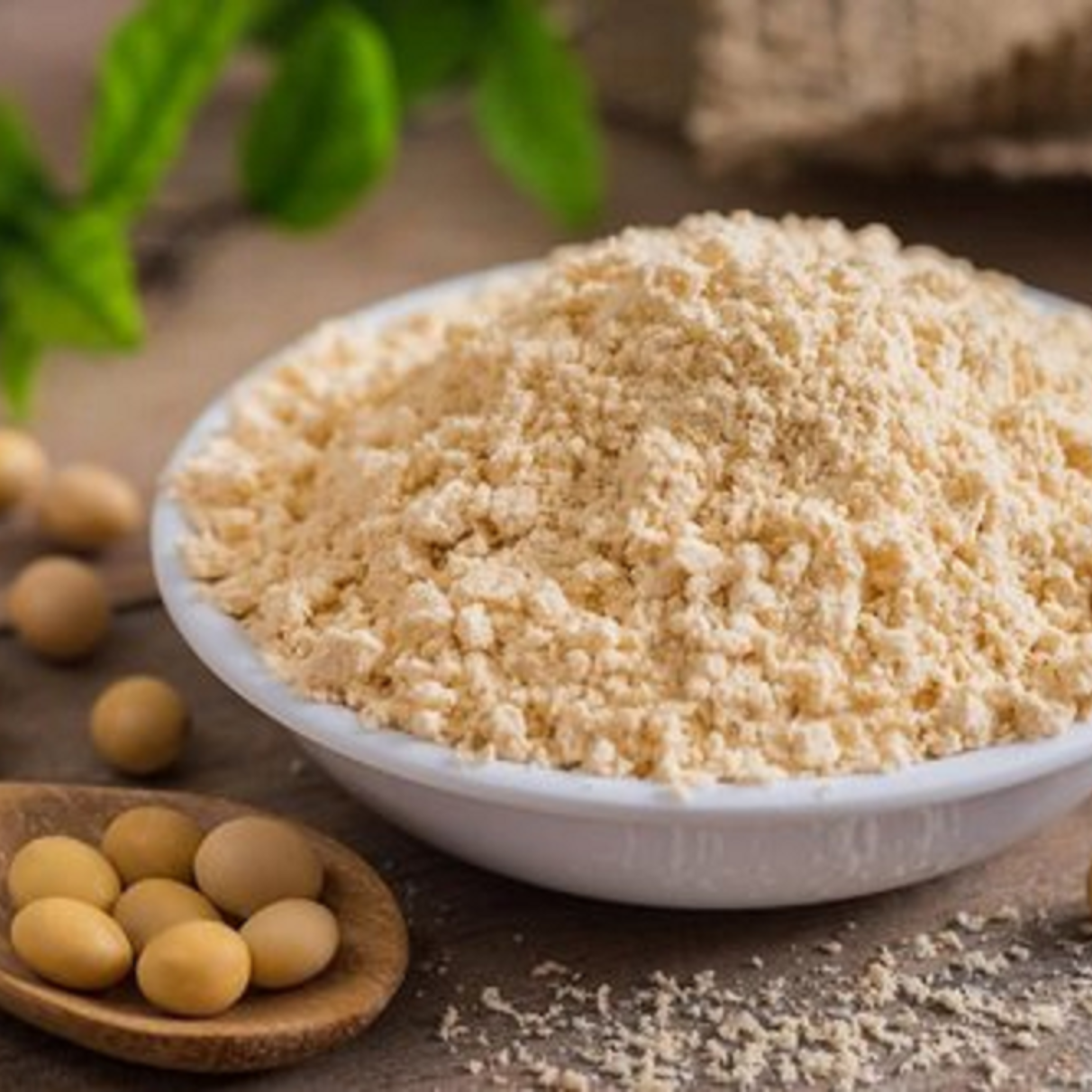 Dehydrated Soya Powder