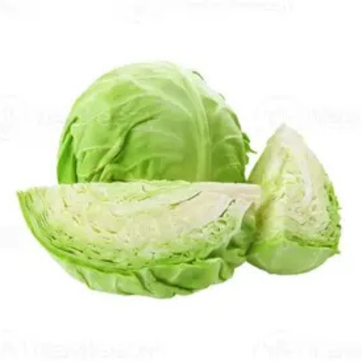 Cabbage
